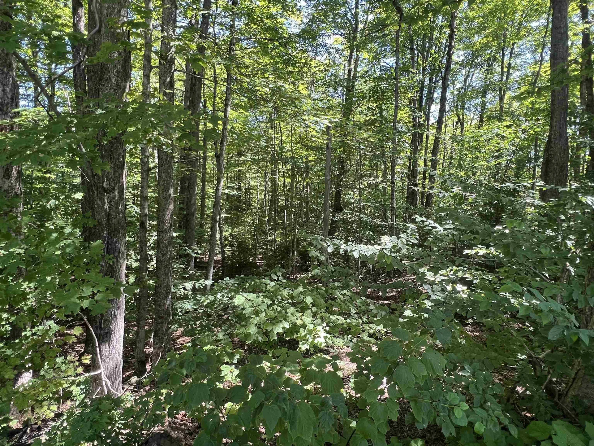72 Buckboard Drive Dover VT 05356