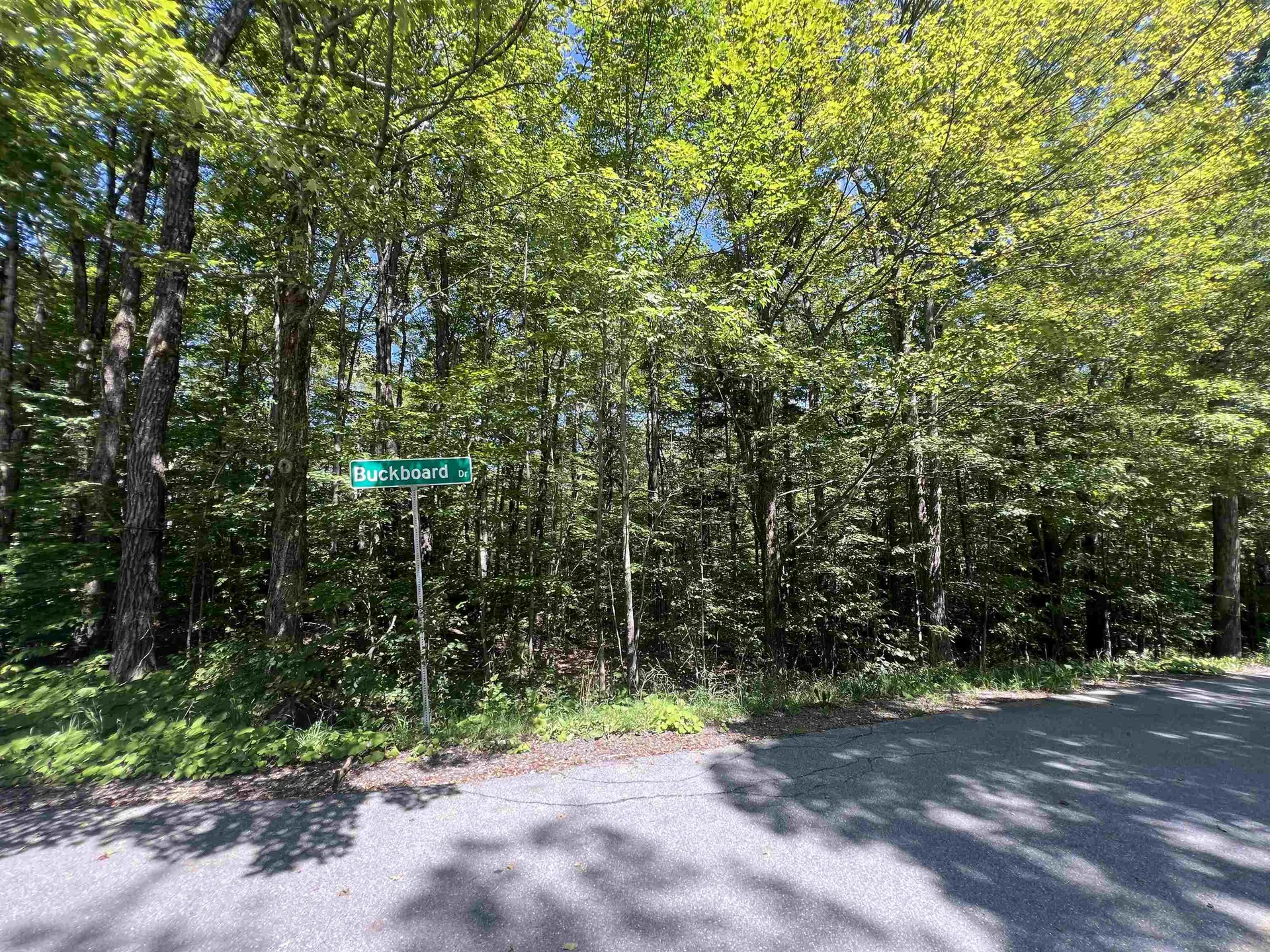 72 Buckboard Drive Dover VT 05356