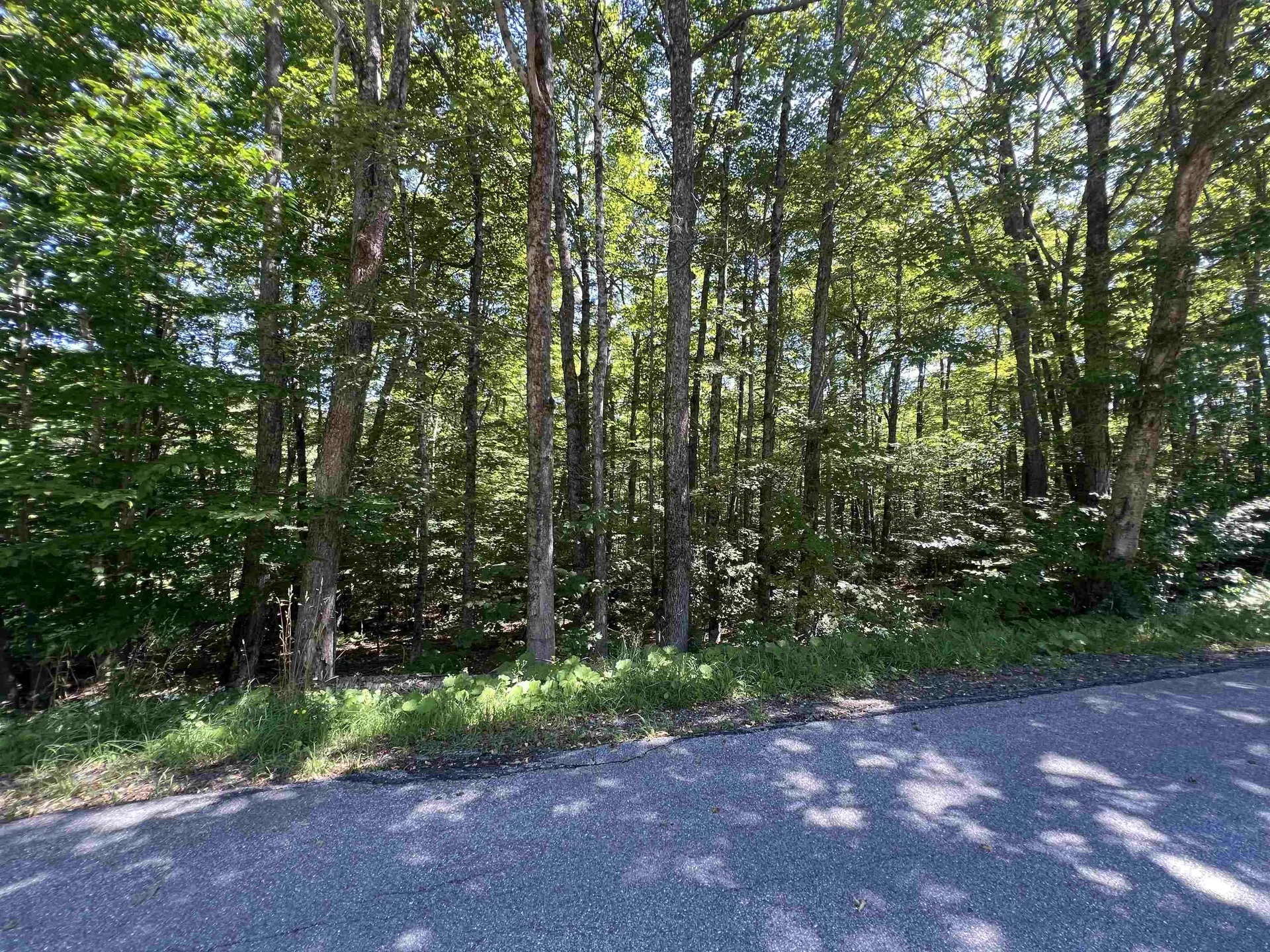 72 Buckboard Drive Dover VT 05356