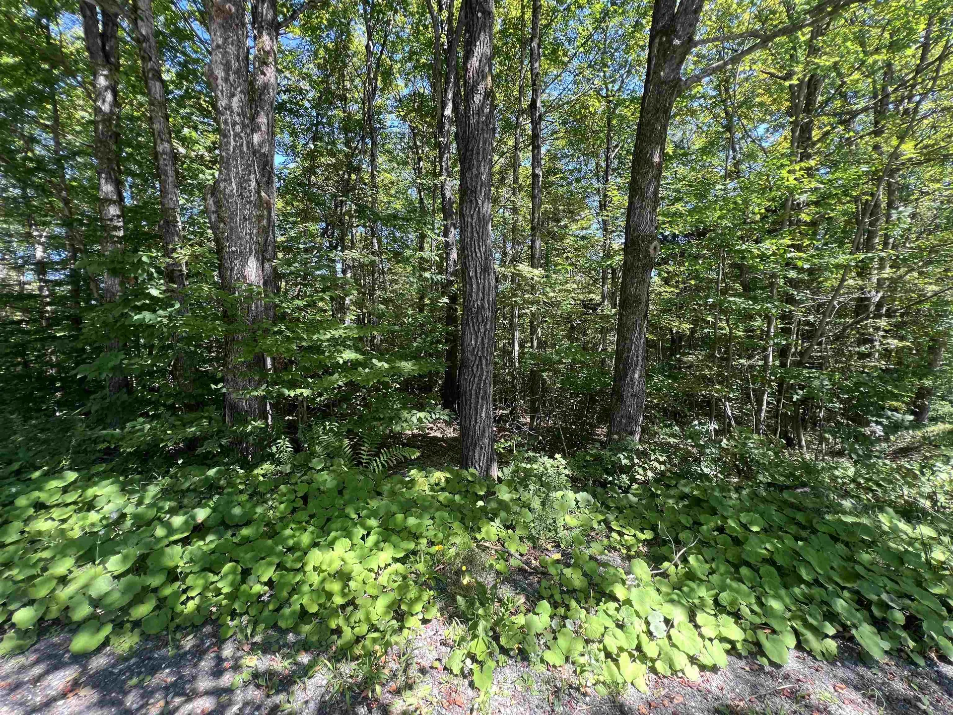 72 Buckboard Drive Dover VT 05356