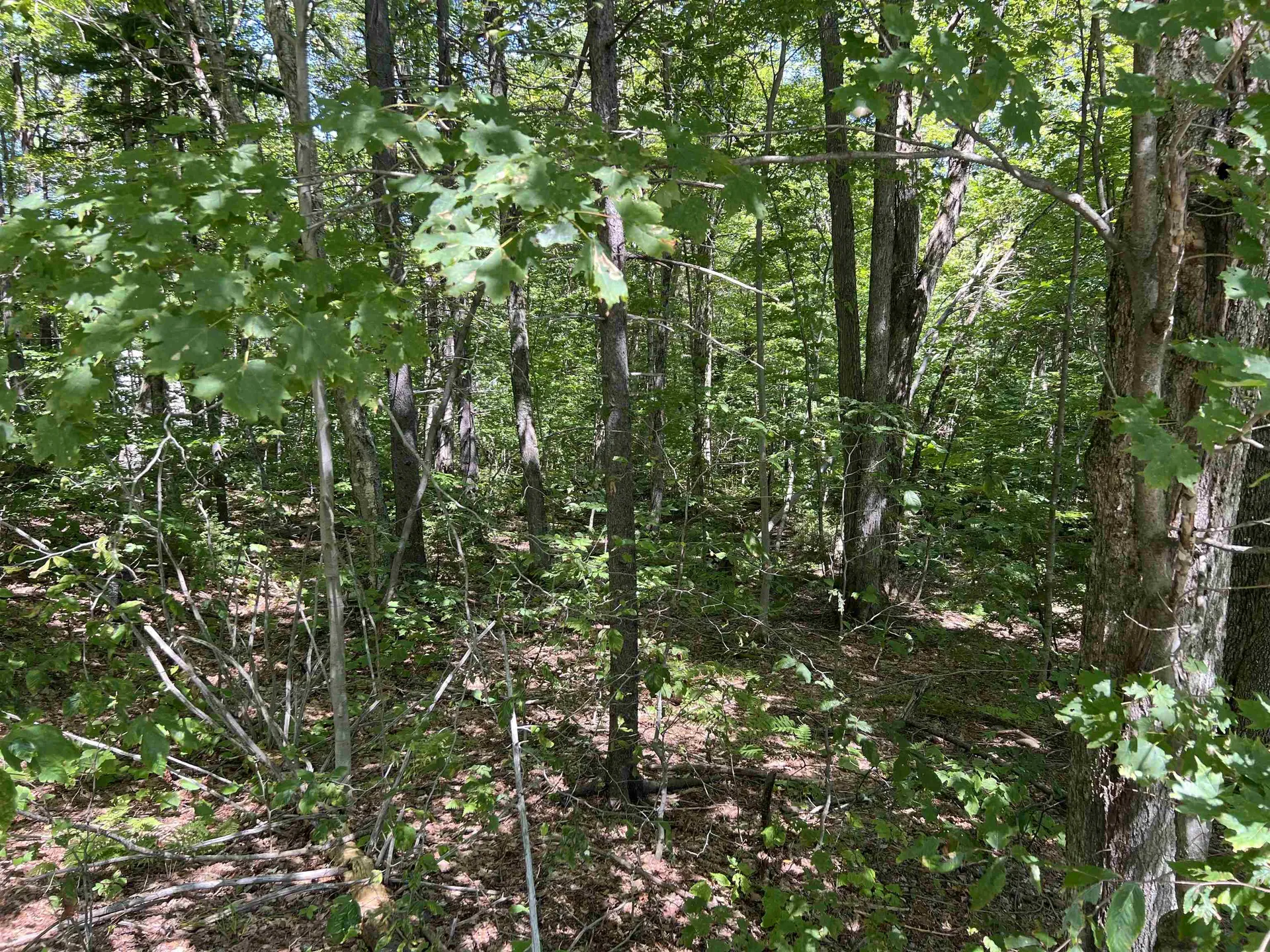 72 Buckboard Drive Dover VT 05356