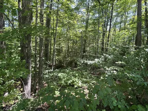 72 Buckboard Drive Dover VT 05356