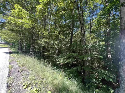 72 Buckboard Drive Dover VT 05356