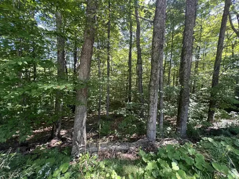 72 Buckboard Drive Dover VT 05356