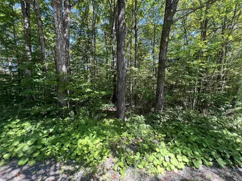 72 Buckboard Drive Dover VT 05356