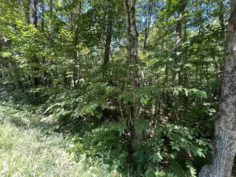 72 Buckboard Drive Dover VT 05356