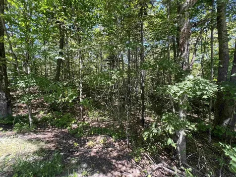 72 Buckboard Drive Dover VT 05356