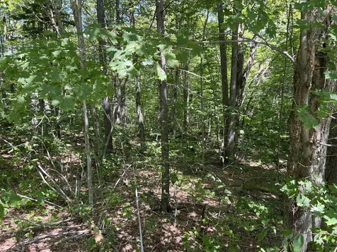 72 Buckboard Drive Dover VT 05356