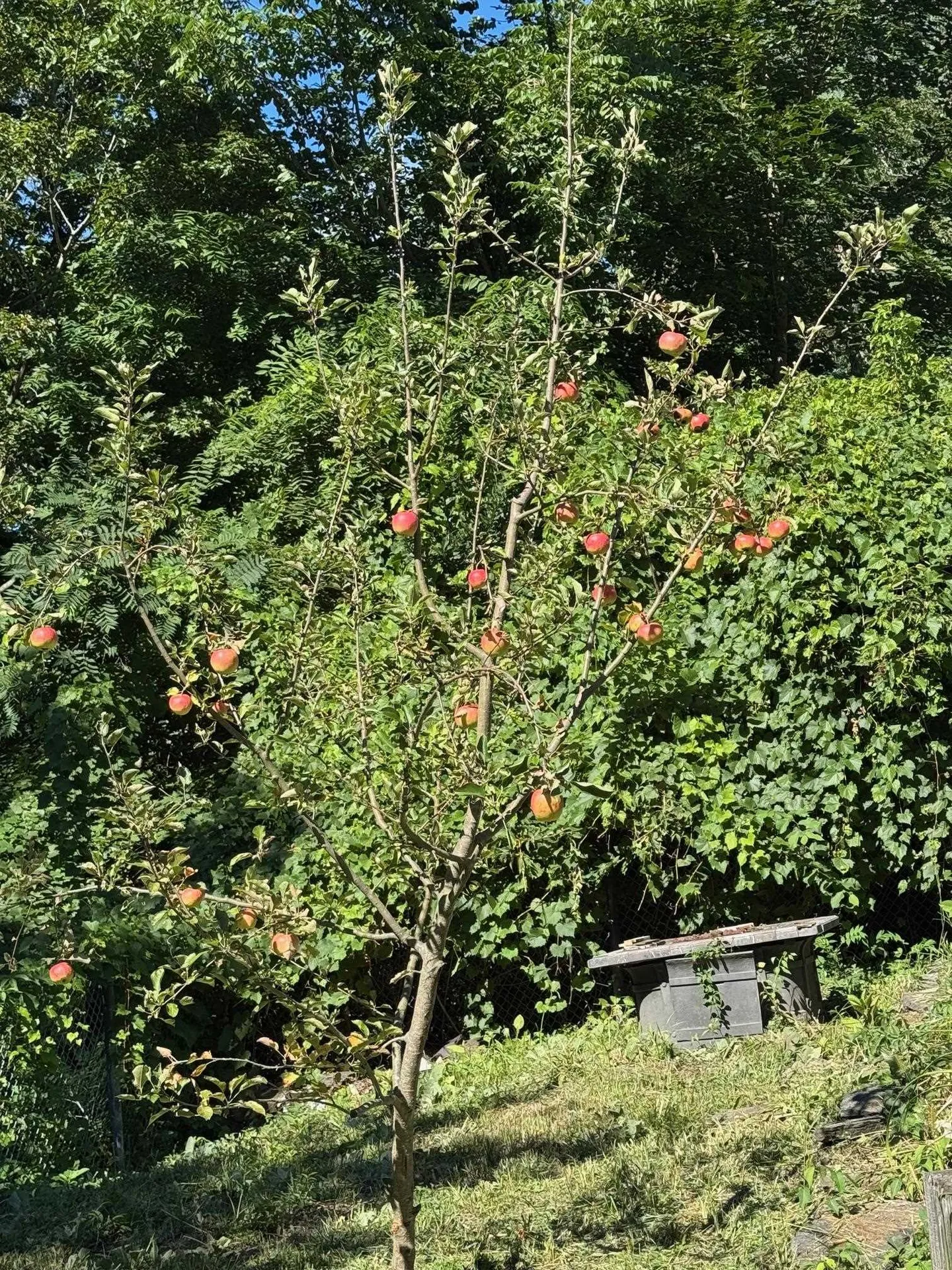 999 Main Street Walpole NH 03608