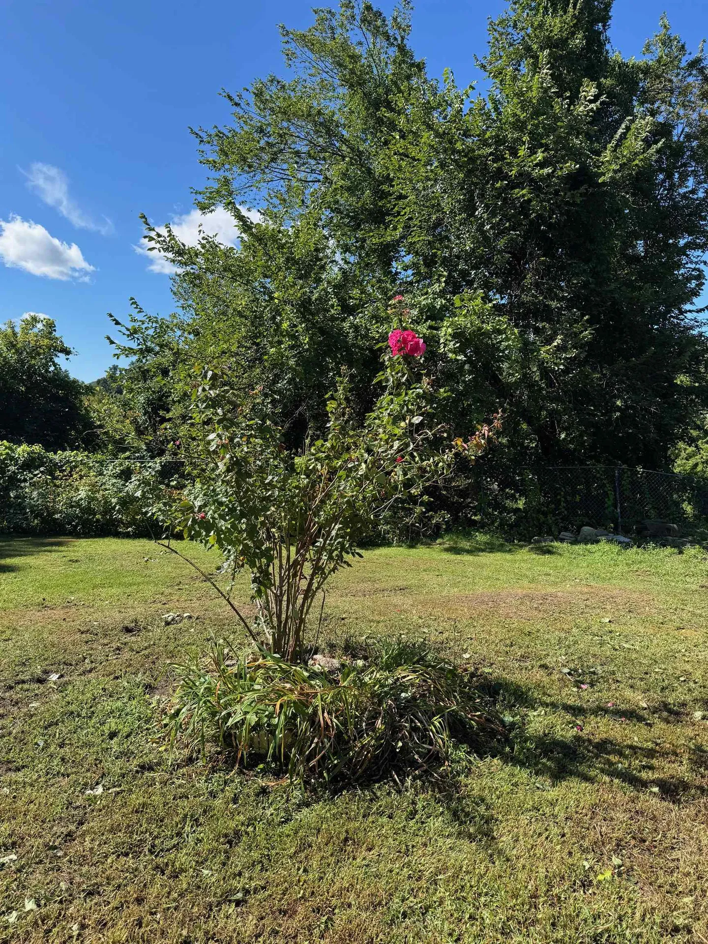 999 Main Street Walpole NH 03608