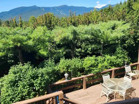 623A Topnotch Drive Stowe VT 05672