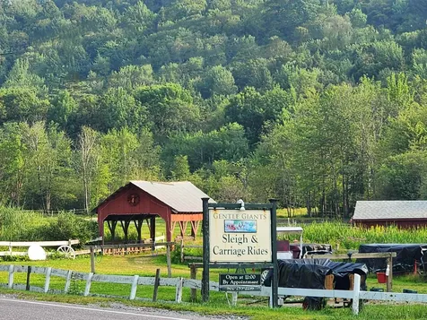 623A Topnotch Drive Stowe VT 05672