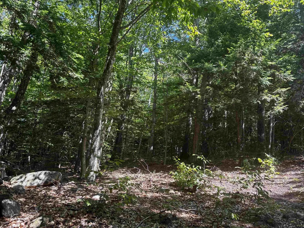 28 Sky Lane Wolfeboro NH 03894