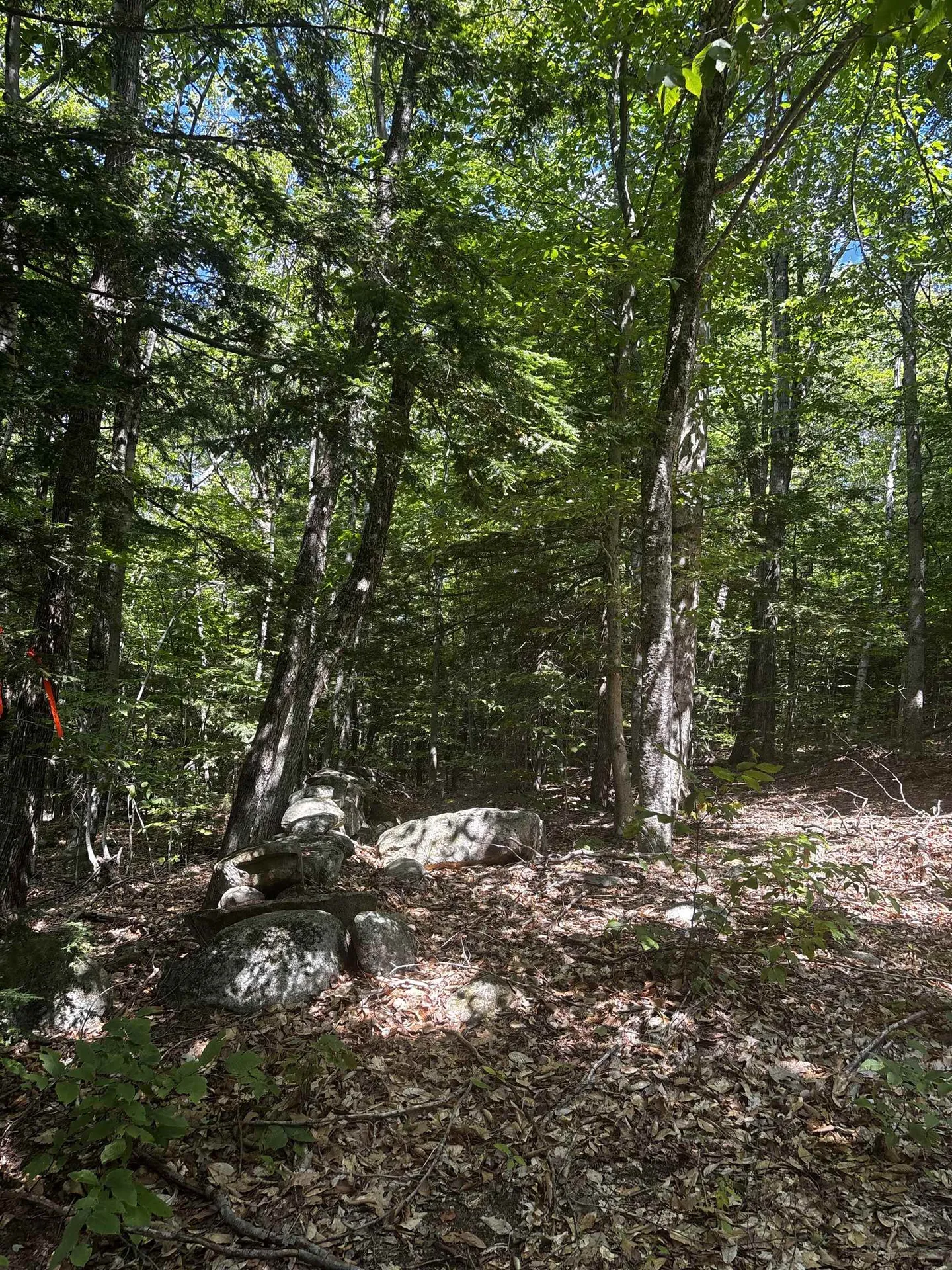28 Sky Lane Wolfeboro NH 03894