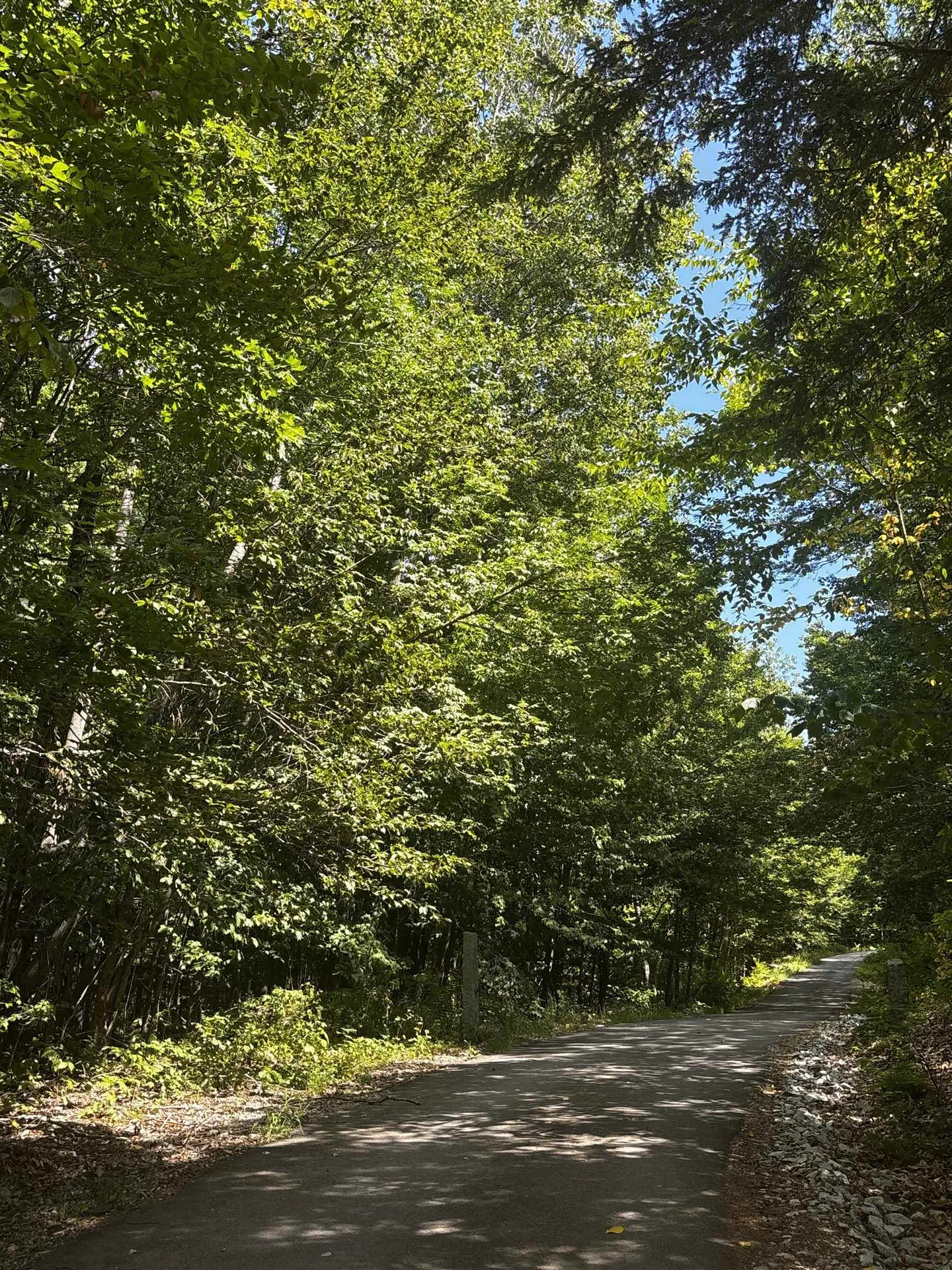 28 Sky Lane Wolfeboro NH 03894