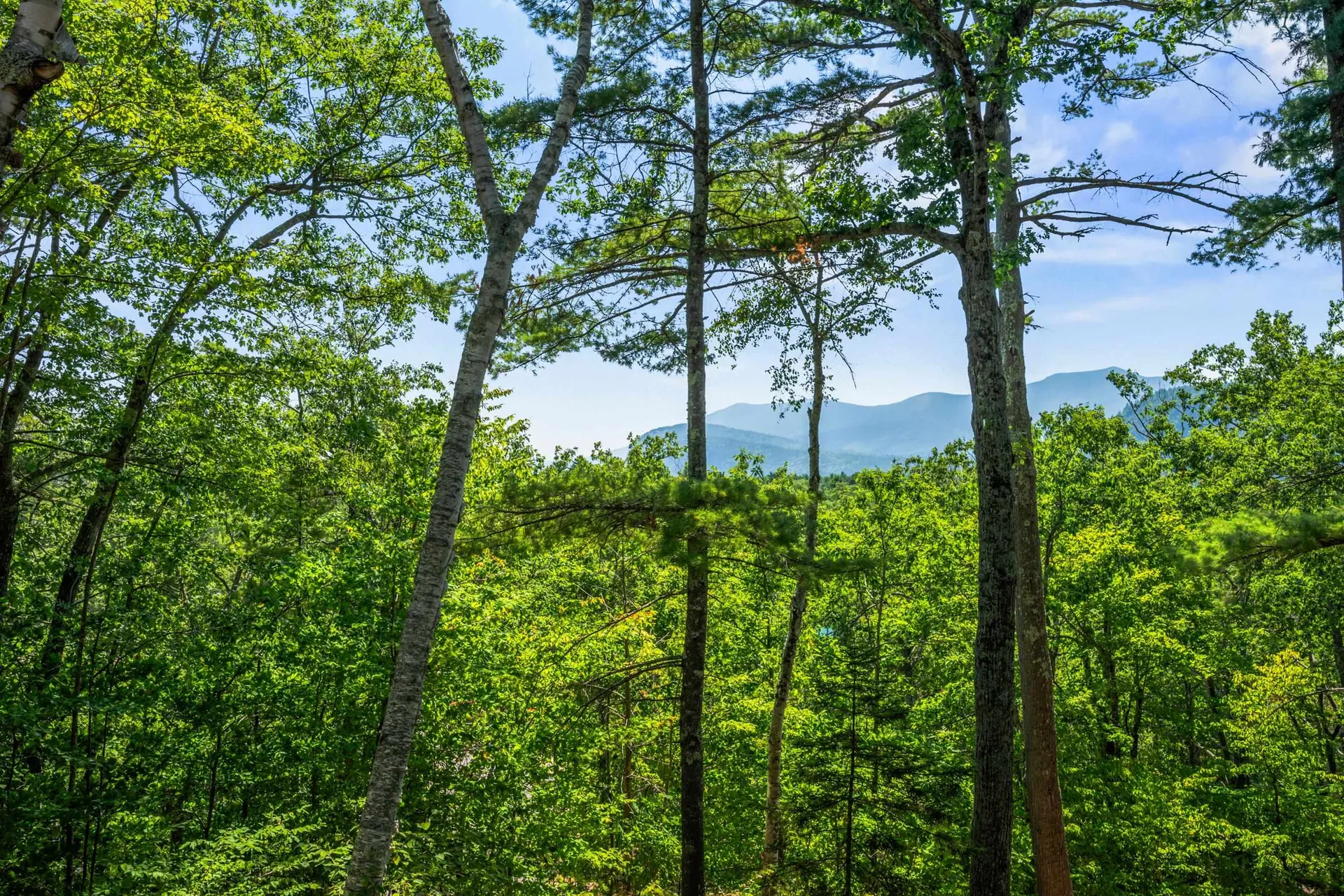 27 Moat Mountain Circle Bartlett NH 03812