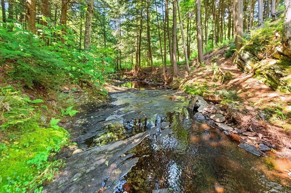 79 Deep Gibou Road Montgomery VT 05471