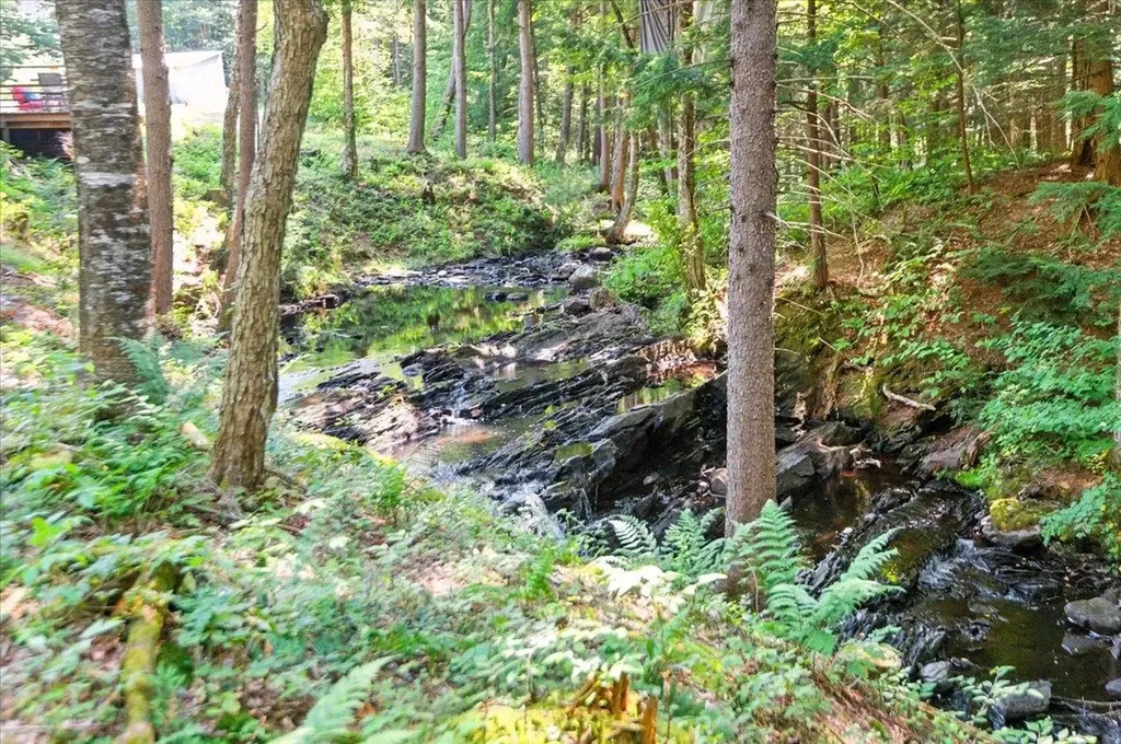 79 Deep Gibou Road Montgomery VT 05471