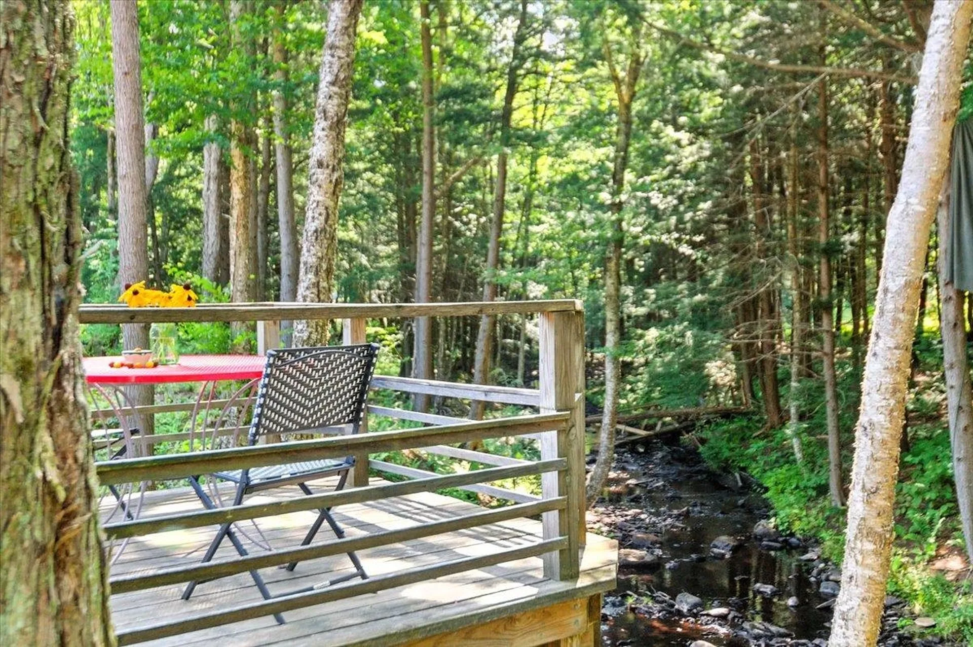 79 Deep Gibou Road Montgomery VT 05471