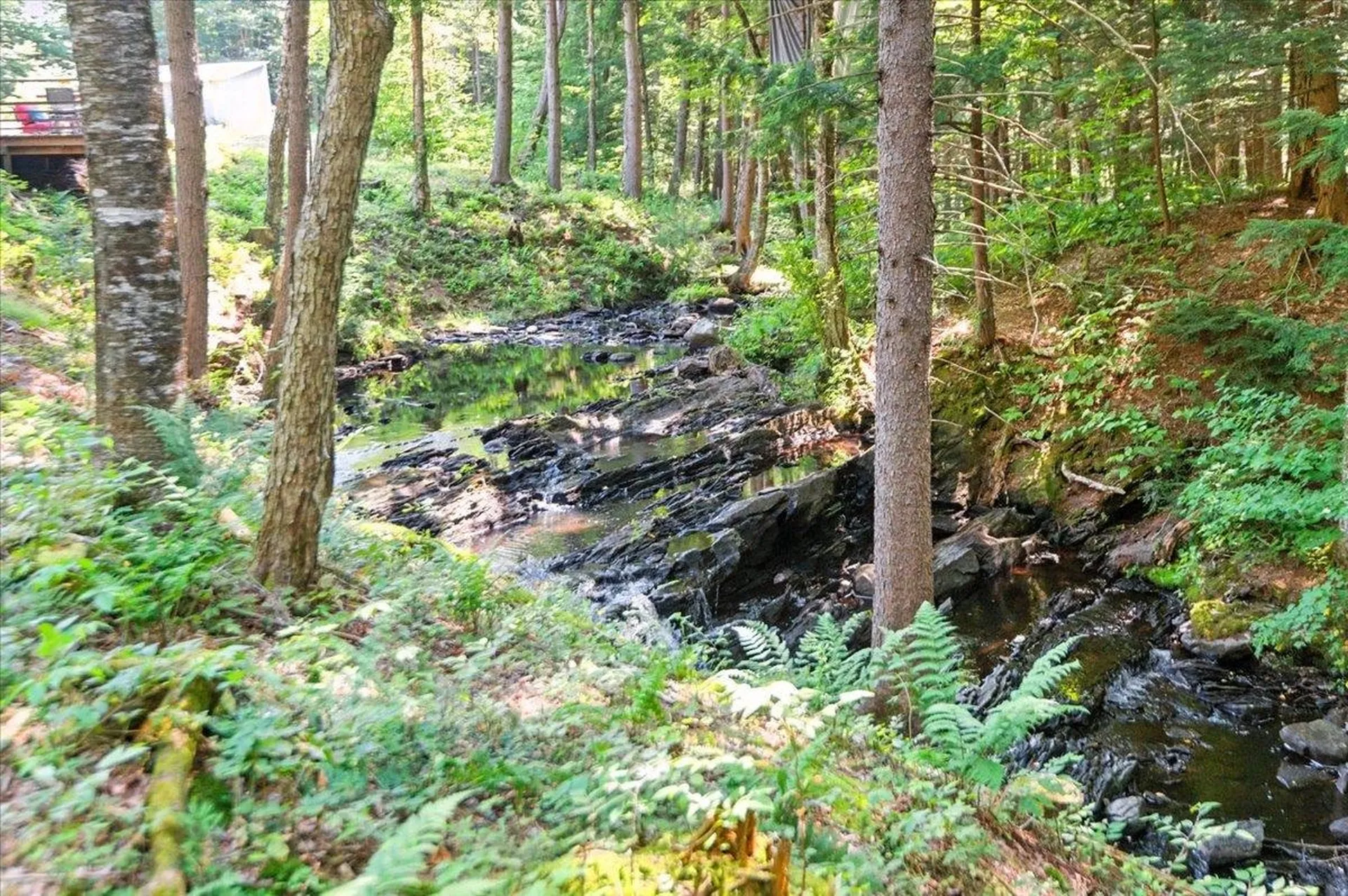 79 Deep Gibou Road Montgomery VT 05471