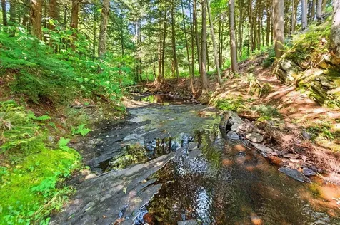 79 Deep Gibou Road Montgomery VT 05471