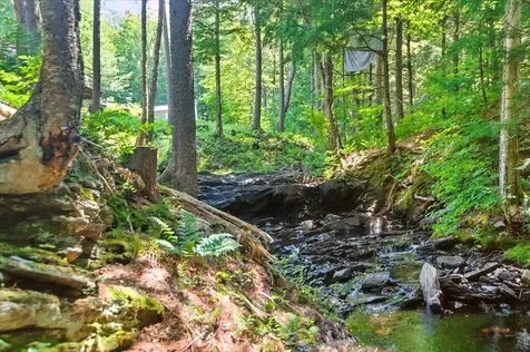 79 Deep Gibou Road Montgomery VT 05471