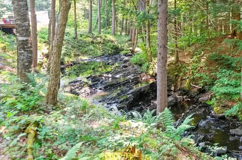 79 Deep Gibou Road Montgomery VT 05471