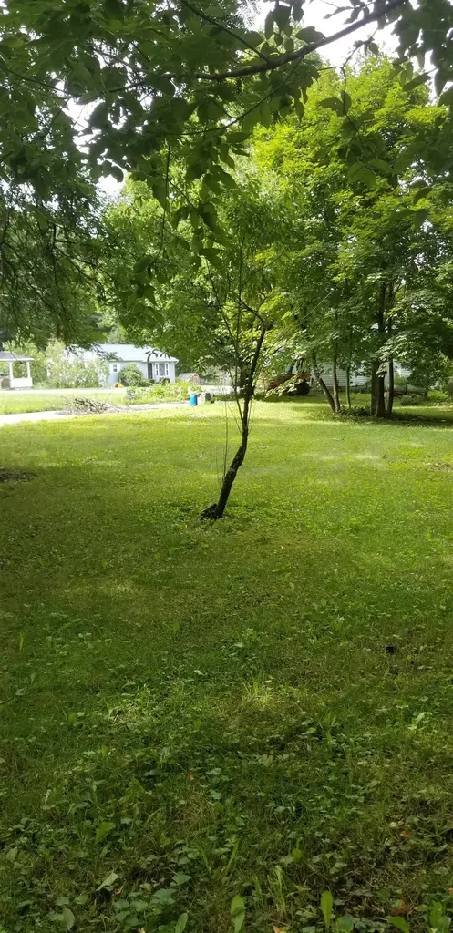 420 Burgess Road Bennington VT 05201