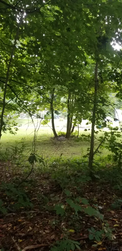 420 Burgess Road Bennington VT 05201