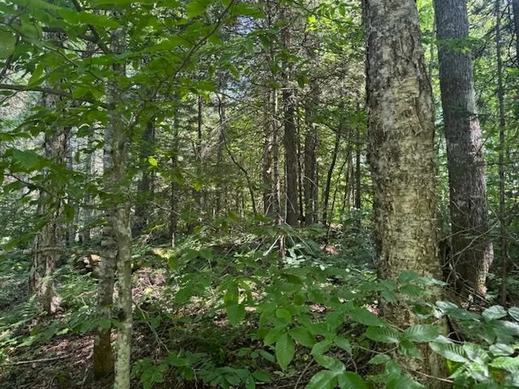 639 Horace Way Road Albany VT 05820