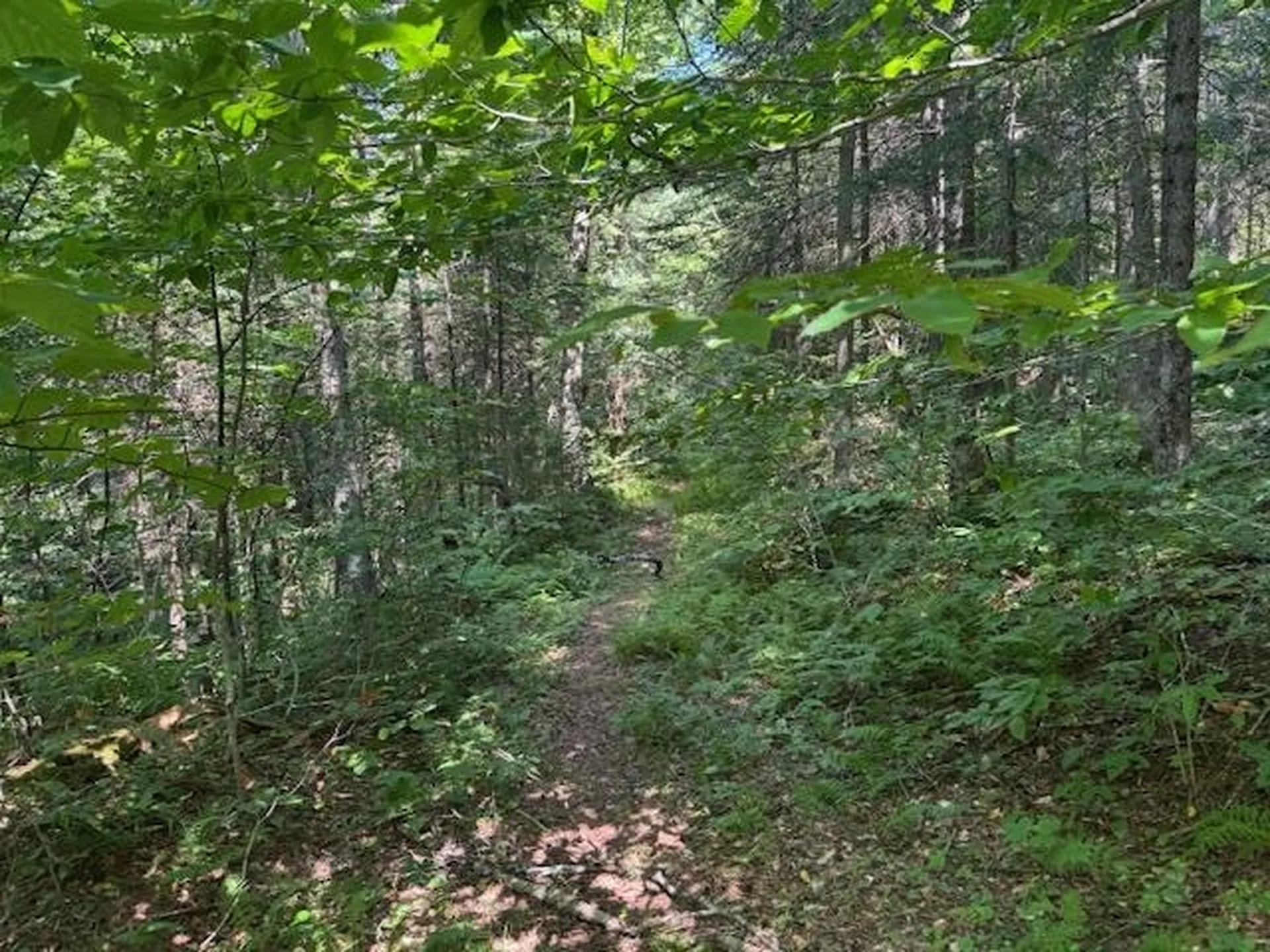 639 Horace Way Road Albany VT 05820