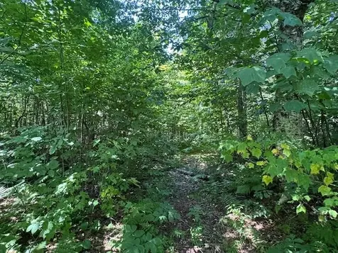 639 Horace Way Road Albany VT 05820