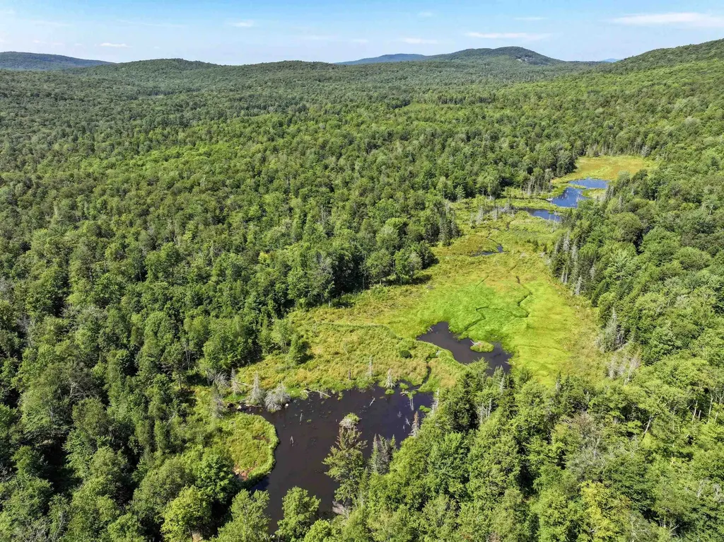 Lot 3 Lincoln Road Ripton VT 05766