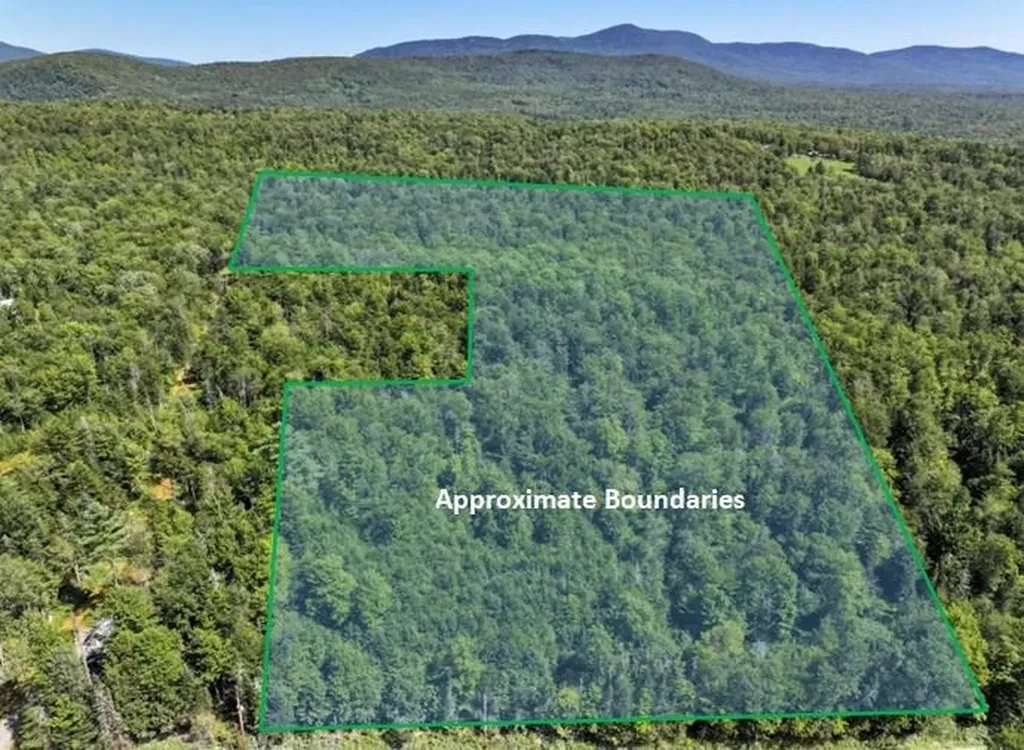 Lot 3 Lincoln Road Ripton VT 05766