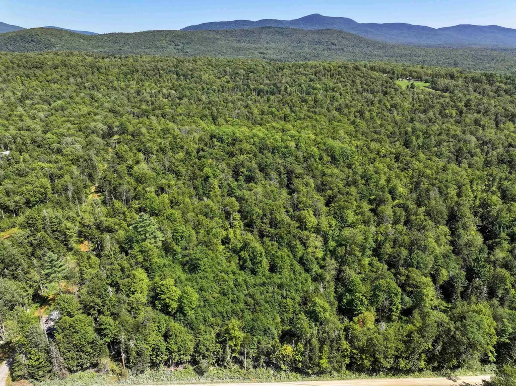 Lot 3 Lincoln Road Ripton VT 05766
