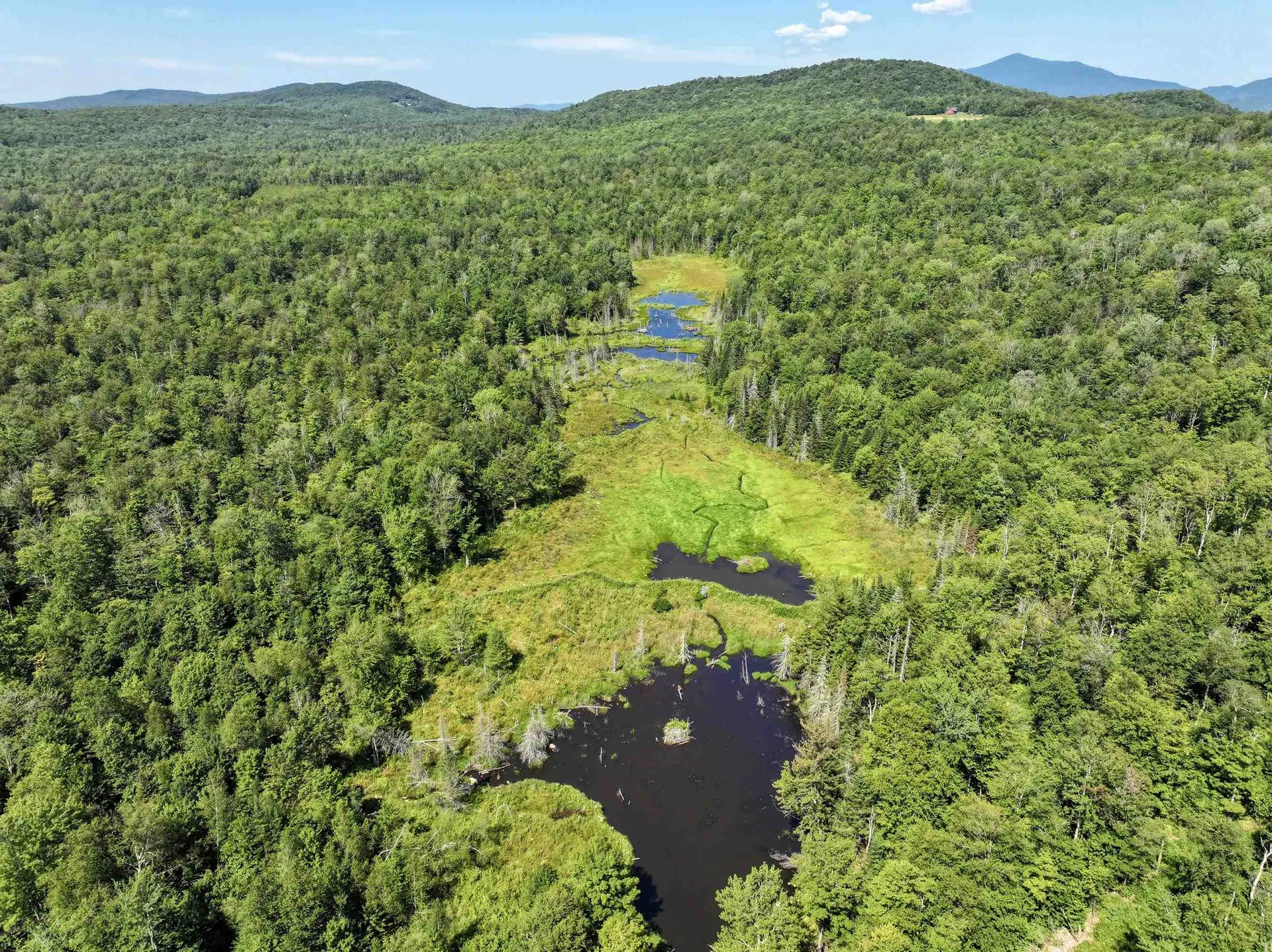 Lot 3 Lincoln Road Ripton VT 05766