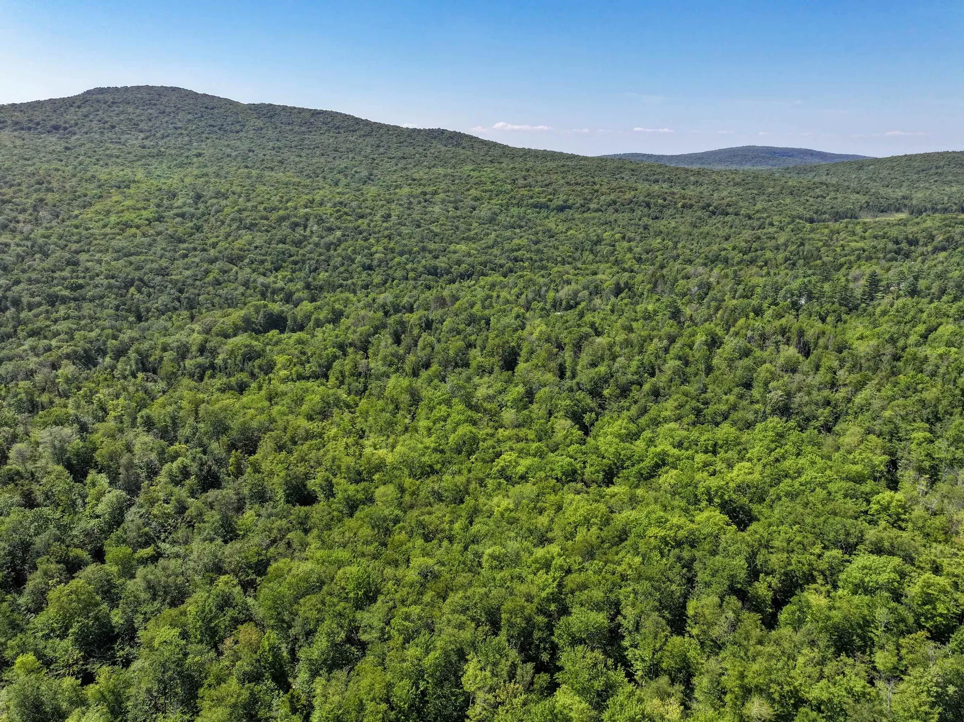 Lot 3 Lincoln Road Ripton VT 05766