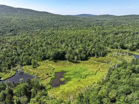 Lot 3 Lincoln Road Ripton VT 05766