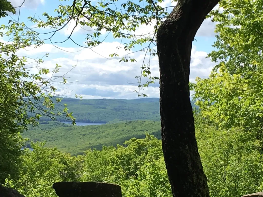 47 Upper Howes Way Wilmington VT 05363