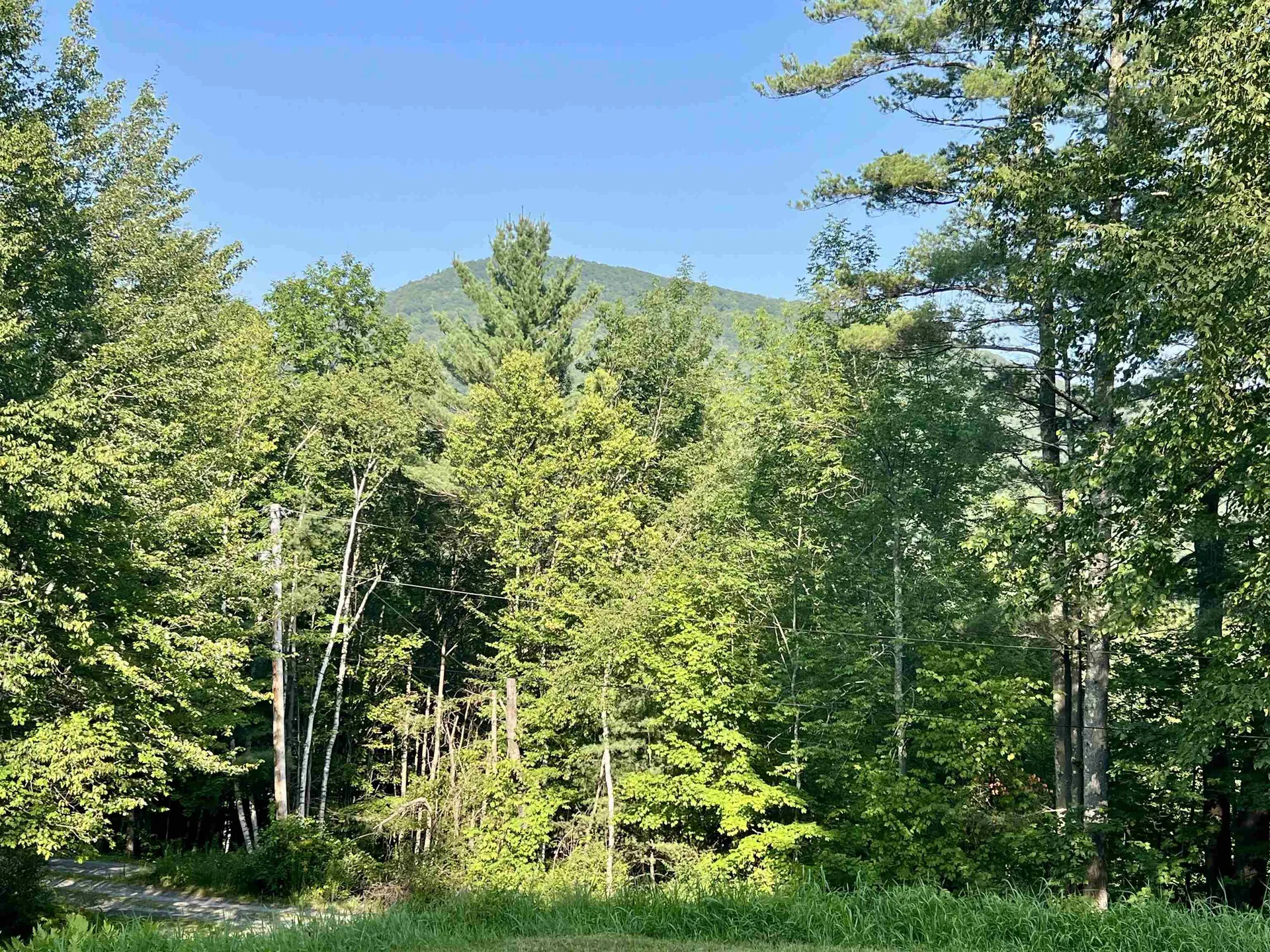 100 Walsh Road Sandgate VT 05250