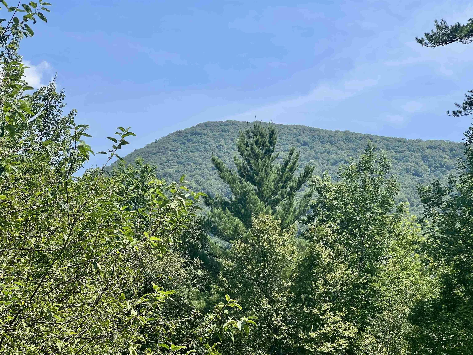 100 Walsh Road Sandgate VT 05250
