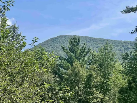 100 Walsh Road Sandgate VT 05250