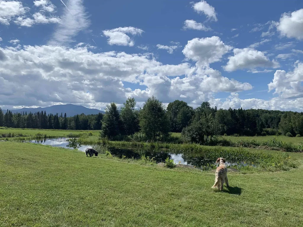 475 Webster Road Hyde Park VT 05655