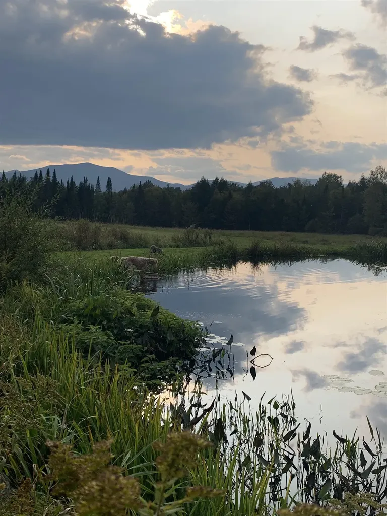 475 Webster Road Hyde Park VT 05655