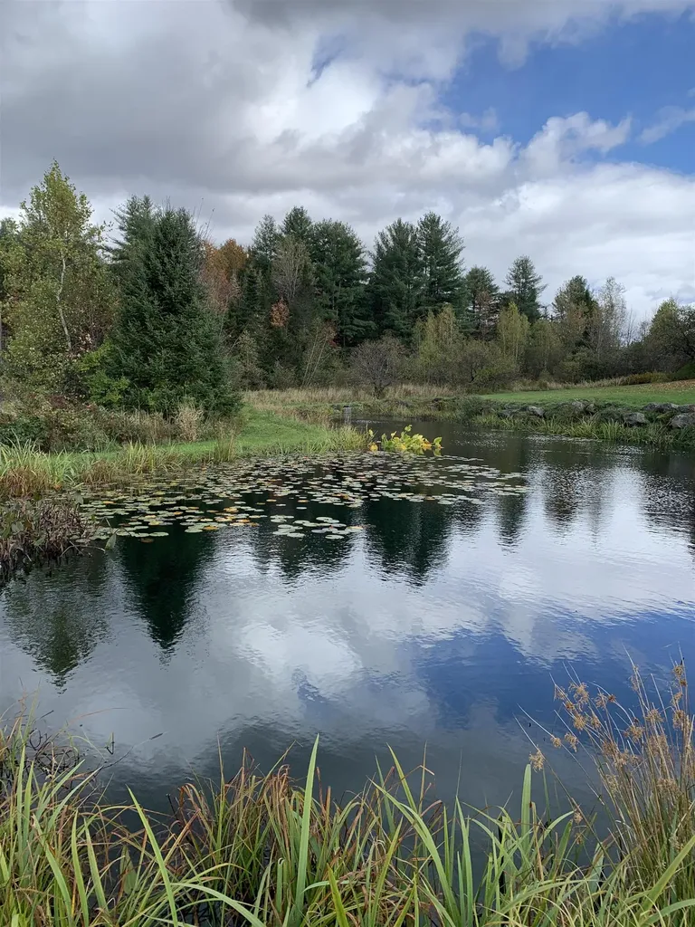 475 Webster Road Hyde Park VT 05655