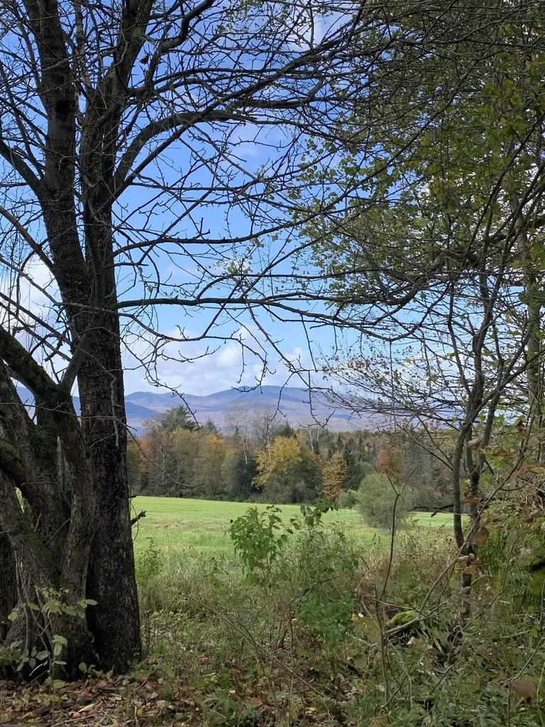 475 Webster Road Hyde Park VT 05655