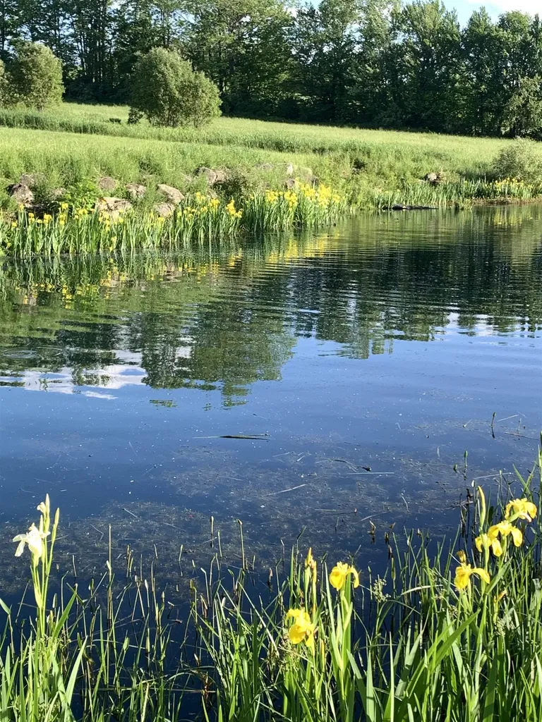 475 Webster Road Hyde Park VT 05655