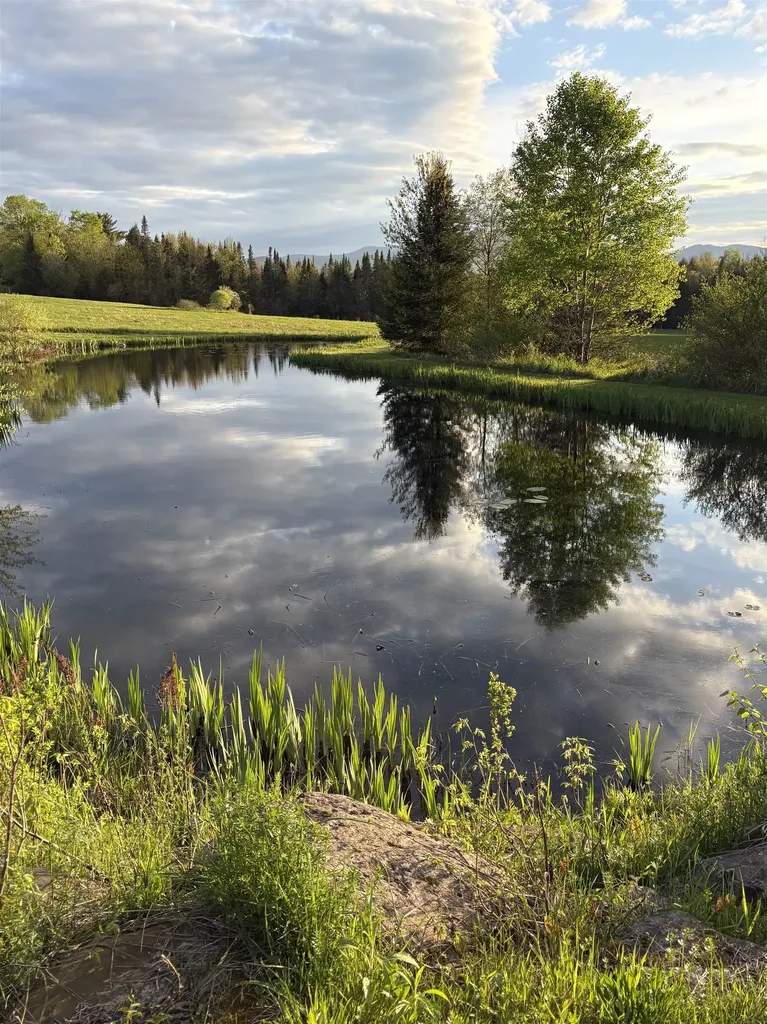 475 Webster Road Hyde Park VT 05655