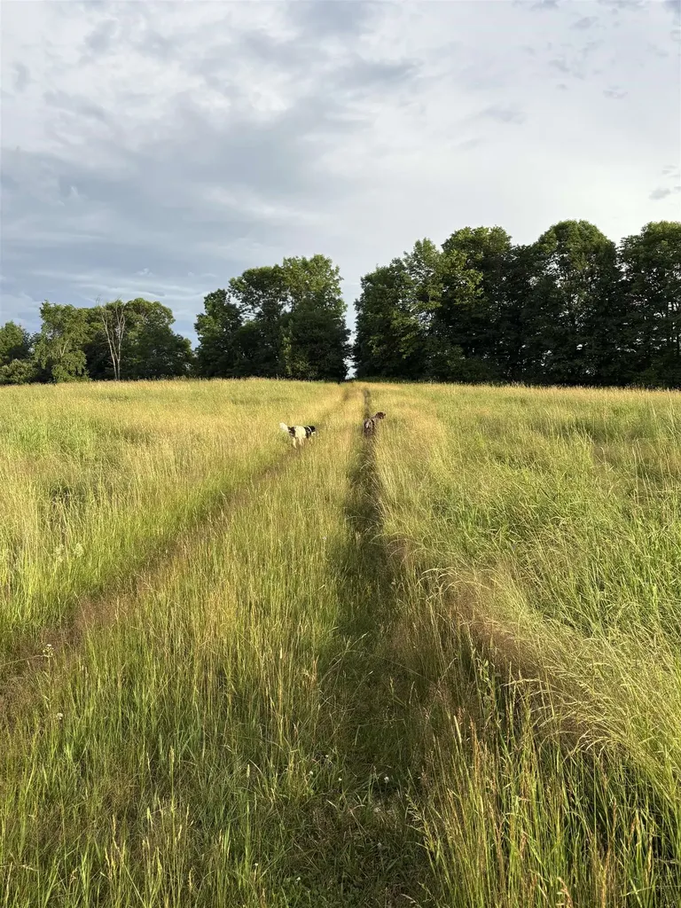 475 Webster Road Hyde Park VT 05655