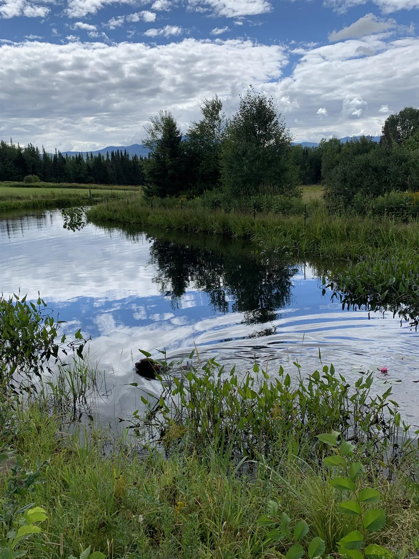 475 Webster Road Hyde Park VT 05655